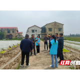 湘阴县岭北镇：将种粮技术从“地头”送上“心头”