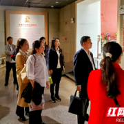 岳阳人防：学史明理，做新时代人防骆驼