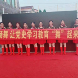 我为群众办实事 | 湘阴县鹤龙湖镇“党员+”扩大乡村治理“朋友圈”