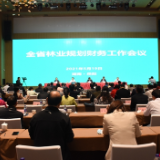 强化财务信息化建设 推动湖南林业高质量发展