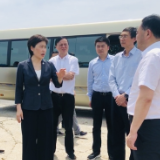李爱武督查临湖公路路域环境整治和文旅项目建设进度