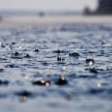 岳阳水文中心发布最新前期雨水情总结及后期水情趋势预测