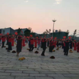 临湘市羊楼司镇：百名“顽童”进社区 红心向党护“绿苗”