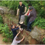 惊险!南湖新区一女子不慎落水 社区人员紧急救援