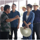 君山区委书记雷欣调研全区农口系统