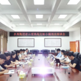 多弗君山爱情岛文旅小镇项目座谈会召开