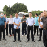 岳阳林纸考察团来临湘市考察项目投资事宜