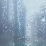 岳阳市最新雨水汛情