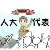 汨罗市镇人大换届选举工作圆满完成，选举结果名单出炉
