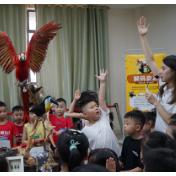 博物馆奇妙夜,创意课程让标本“活”起来