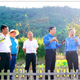 国家农业科学院专家组调研岳阳市农创园项目