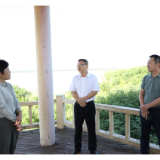 陈阁辉到君山区调度采桑湖观鸟场地建设工作