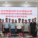 岳农集团与铁香茶叶公司合作  推动岳阳茶业发展