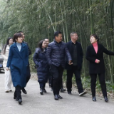 做强“荷”品牌 做美大景区——雷欣调研君山野生荷花世界