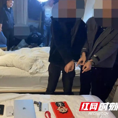 净风1号丨跨省流窜砸车玻璃盗窃团伙入岳作案，出手就被擒！