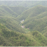 临湘市壁山革命烈士墓入选湖南省第十一批省级文物保护单位