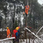 国网岳阳供电公司全力应对低温雨雪，保春节电力供应