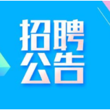 湖南城陵矶港发实业投资集团有限公司、岳阳城陵矶口岸实业有限公司招聘公告