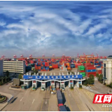 更绿更蓝更红——非凡十年，看新港区系列报道之三
