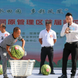 屈原管理区：党建引领奏响乡村文化振兴“最强音”