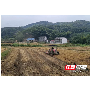 临湘市坦渡镇：抢抓时节秋冬种 油菜之路开新篇