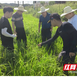 岳阳市水利局：将学习宣传贯彻党的二十大精神转化为全面推进水利现代化的硬核动力