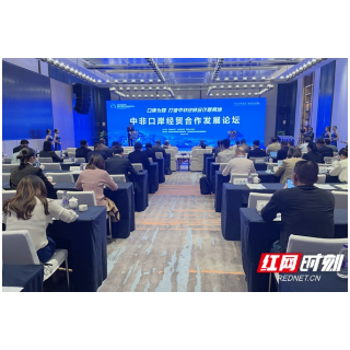 口岸为媒 打造中非经贸合作新高地 中非口岸经贸合作发展论坛在岳阳举行