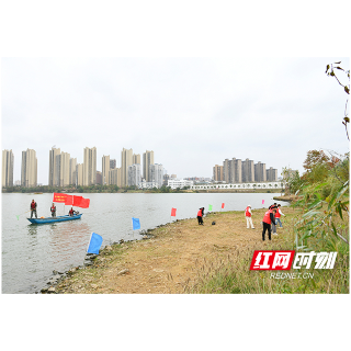 岳阳楼区：清湖净滩志愿行 碧水清波漾巴陵