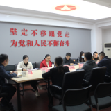 团市委召开学习传达全市学习贯彻党的十九届六中全会精神专题培训班精神专题研讨会