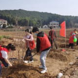 岳阳职业技术学院：公益植树志愿服务 关爱留守儿童