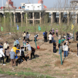 “检察蓝”种植新绿，守护长江两岸的春天