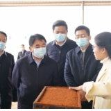 曹普华深入岳阳县调研：奋力迈进全市第一方阵