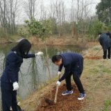 湘阴税务：传承雷锋精神 助力乡村振兴