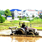 组图 | 岳阳经开区：农田翻耕抛秧忙 种粮大户信心足