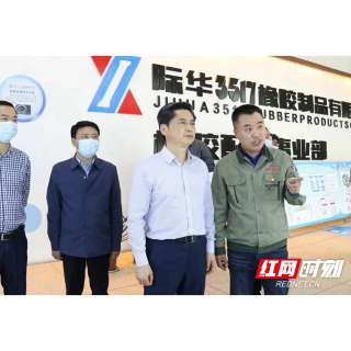 岳阳市人大常委会副主任赵岳平一行赴城陵矶新港区调研