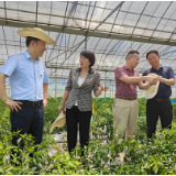 洞庭酉水缘，湘阴保靖情——湘阴县与保靖县长潭河乡互访交流助力乡村振兴