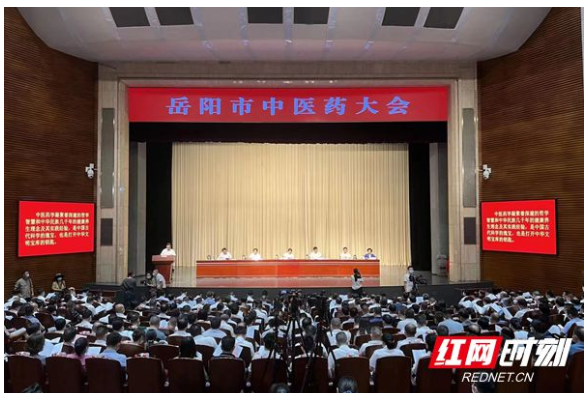 岳阳：守正创新 强化合力 推动中医药事业传承创新发展