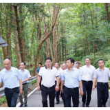 李挚赴云溪临湘开展巡林活动