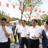 曹普华到南湖新区调研