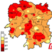 岳阳：持续高温突破多项历史极值 本周中后期高温有所缓解