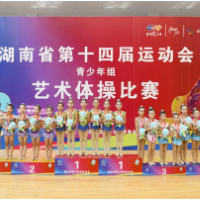 青少年组艺术体操U9集体赛冠军花落怀化  岳阳队小将获得个人赛冠军