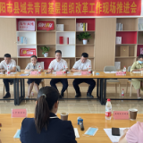 岳阳市召开县域共青团基层组织改革工作现场推进会