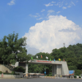 长岭炼化：再立新功走前列 再创佳绩开新局