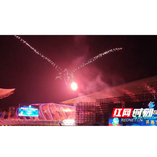 视频丨超级燃！“国宝级候鸟”点燃湖南省第十四届运动会主火炬