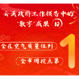 云溪政府工作报告中的“数字”成果⑩丨全区空气质量位列全市国控点第1