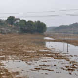 岳阳县中洲乡：“小田”变“大田” 打造生态田园助共富