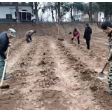 用好特色 助力构建美丽横岭湖（青山岛）省级自然保护区青草湖村