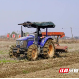 湘阴：“流水线” 育秧跑出春耕“加速度”