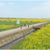 2023湖南第四届油菜花节君山分会场暨君山区第十届油菜花节抖音短视频大赛征稿
