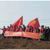 岳阳林长制“亮”示范④|华容县万庾镇：聚焦五绿工程 切实优化绿色生态